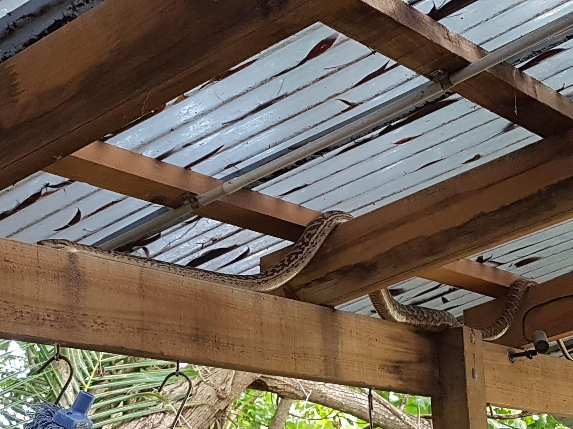 Coral Beach Lodge Port Douglas Zewnętrze zdjęcie